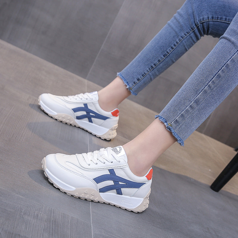 فوجاكونفورت | فوجاني